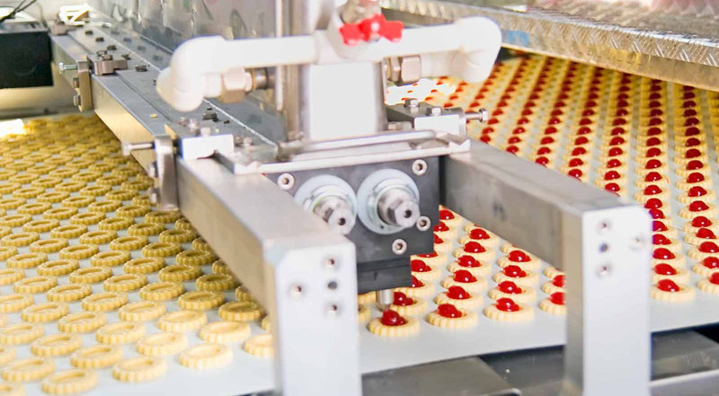 Advanced Food Processing Technology